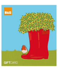 B&Q official gift card store - same day dispatch available, choice of ...