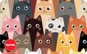TK Maxx DE - DE Cat Wink 2025