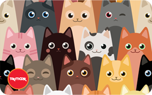 TK Maxx PL - PL Cat Wink 2025