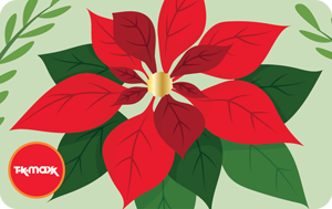 TK Maxx PL - PL Christmas Poinsettia