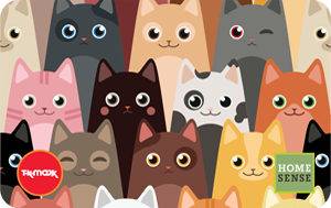 Homesense Catwink ROI